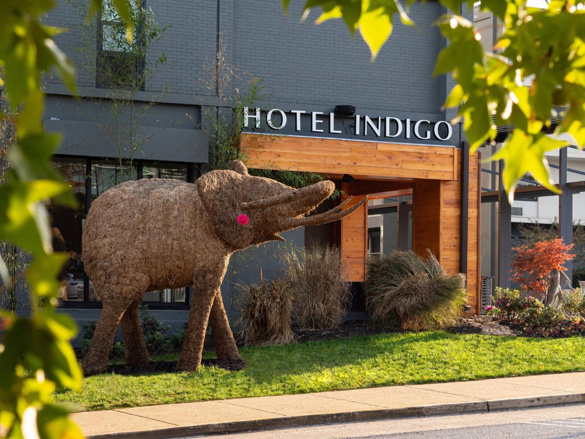 Hotel Indigo Chattanooga - Downtown By Ihg Eksteriør bilde